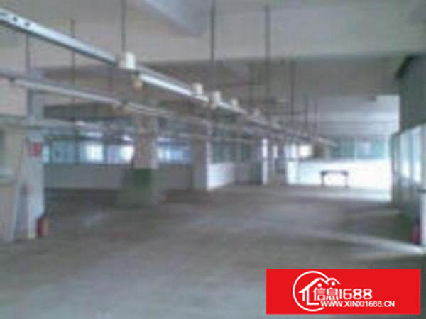 坪地教育北路独院标准厂房三楼900平电子厂带装修出租