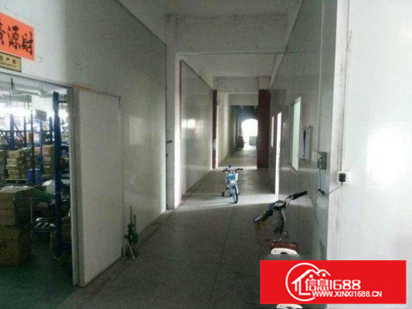 常平镇一楼6米高标准厂房900平方形象好出租带停车位