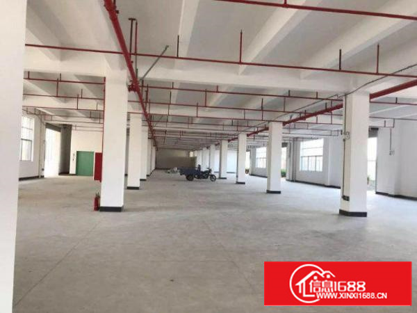 平湖新南2楼1500平方厂房招租