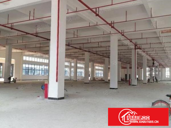 企石镇高新产业园10万平独院带红本消防喷淋可办环评大小可分