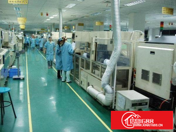 花园式二层厂房，月底清空带精装修2500平方