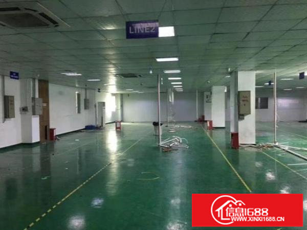 福永1700平无尘车间急租
