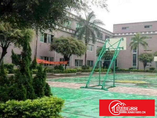 常平花园式园区一楼5000平出租带牛角（可分租）空地3万平