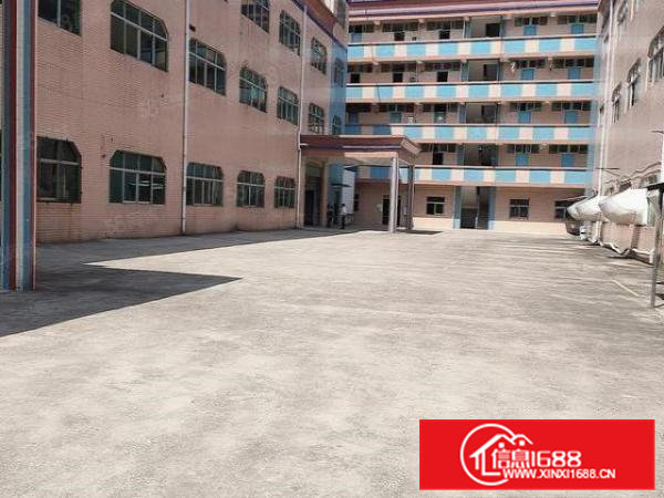 天堂围原房东独门独院厂房出租6600平方