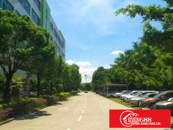 横沥镇西城工业区原房东花园式标准厂房证件齐全带现成装修