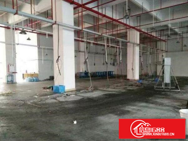 常平袁山贝标准独院3500平红本厂房招租