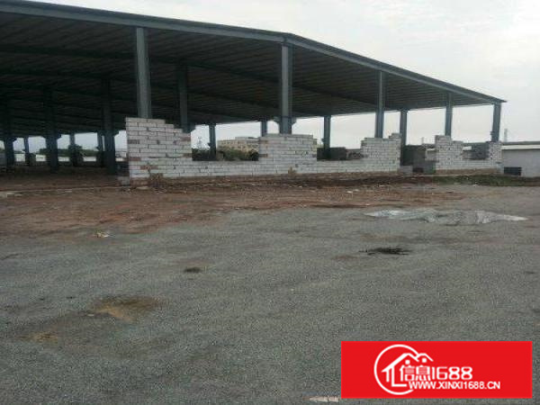 潼桥独院3250平8米钢构火爆招租(空地超大)