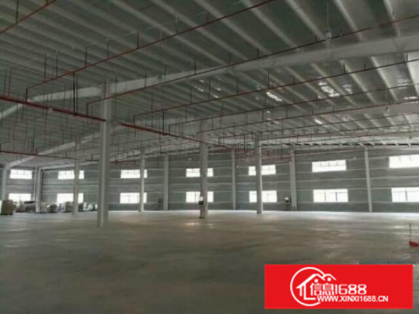 新圩高速出口原房东独院钢构5000平方，滴水八米