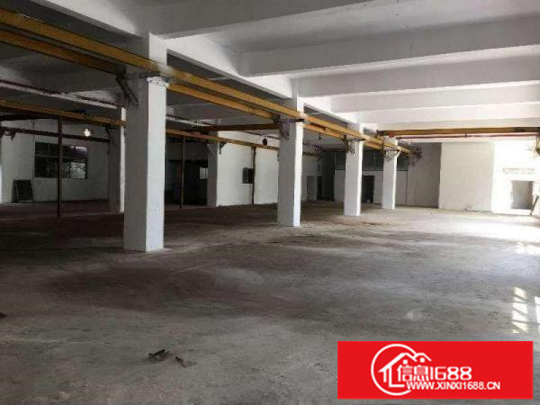 坪山碧岭5年合同红本9成新花园式独院厂房共4600平招租