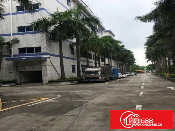 物业直租丹竹头工业区楼上3200平米电商仓库招租