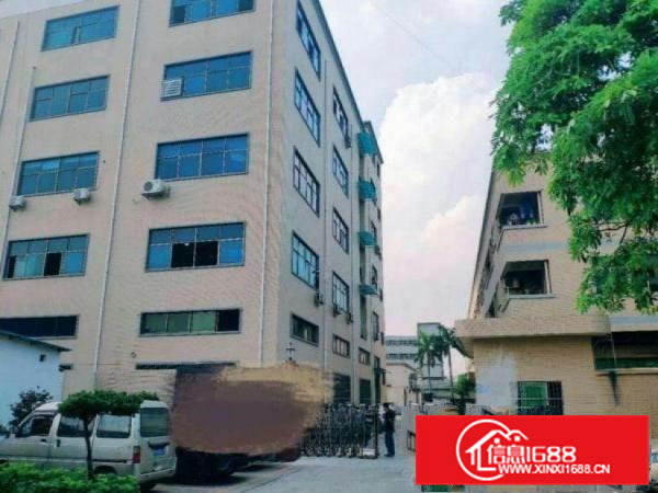 出租横沥新四一楼厂房600平高6米精装修原房东，可办环评