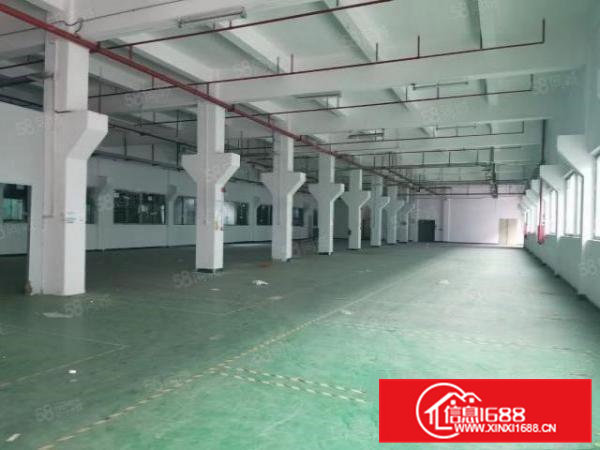 清溪新出原房东独院厂房9000平方带装修低价急租