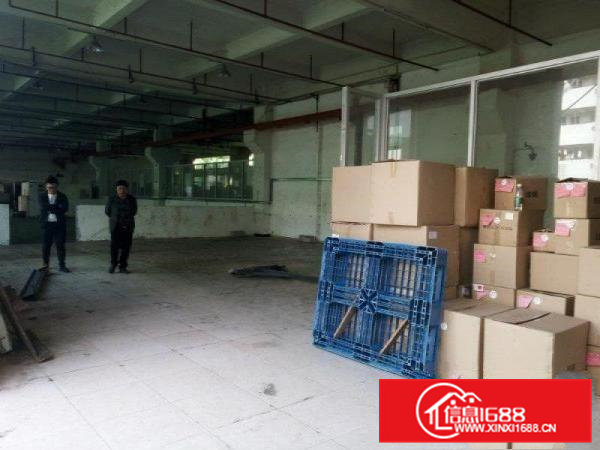 凤岗标准一楼厂房700平方带水电办公室装修出租