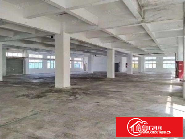 松岗汽车站旁新出原房东独门独院6500平精装修厂房出租。