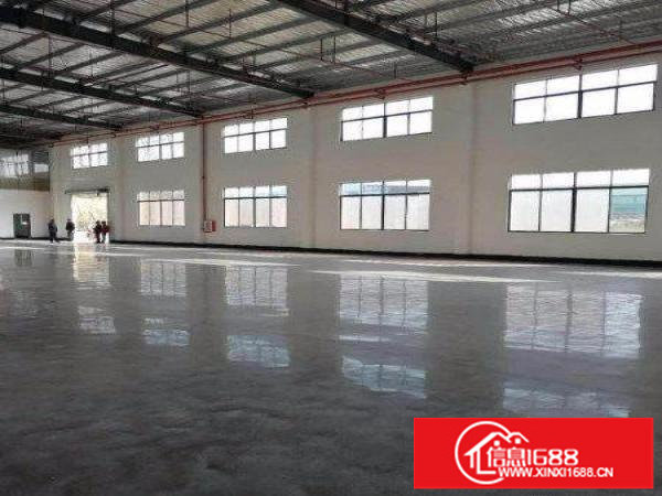 原房东自建全新钢构厂房900平超低价出租！