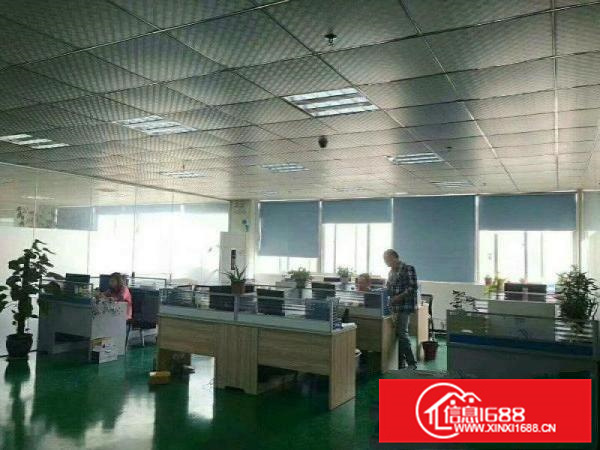 《靓》仲恺独院厂房2700平米招租