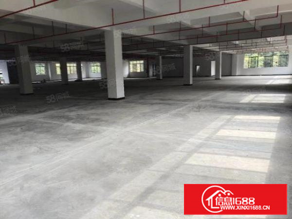 全新可分租厂房6层15000平首高7.5米带喷淋