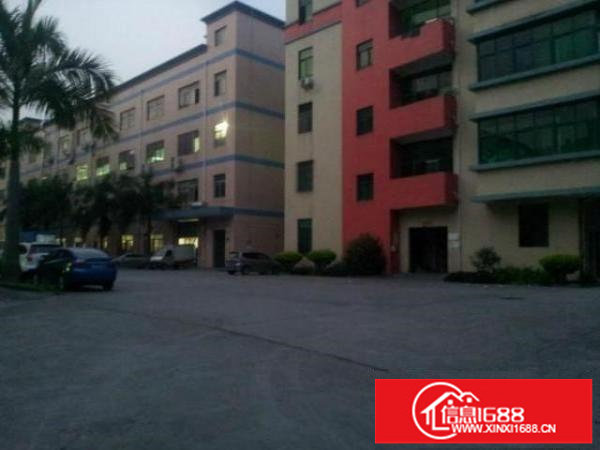 大浪澳华工业区新出3楼360平方带装修免转让费急租