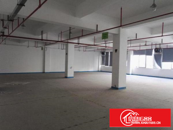 坑梓标准带电梯二楼800平出租精装修办公室招租