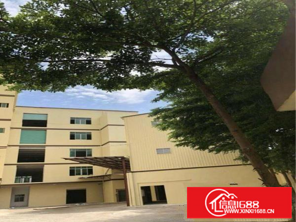 大亚湾便宜厂房2楼12块钱1200平方出租