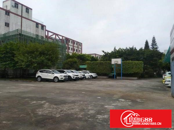 原房东，花园式厂房1100平方港资企业直租