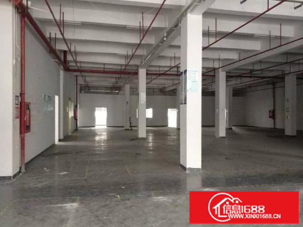 同乐工业区一楼厂房带消防喷淋950平高5.5米