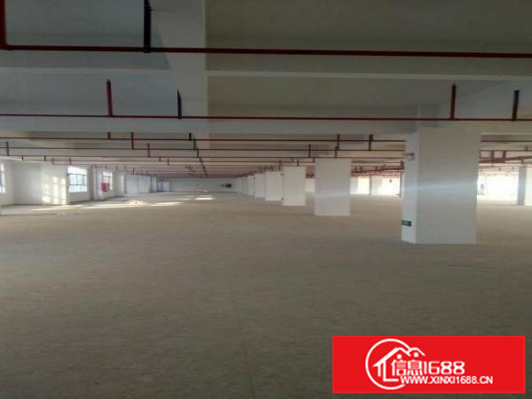 龙岗宝龙街道30000平米全新高薪产业园招租