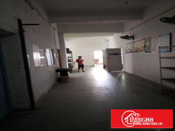 坂田一手厂房业主直租（佳兆业城市广场商圈）