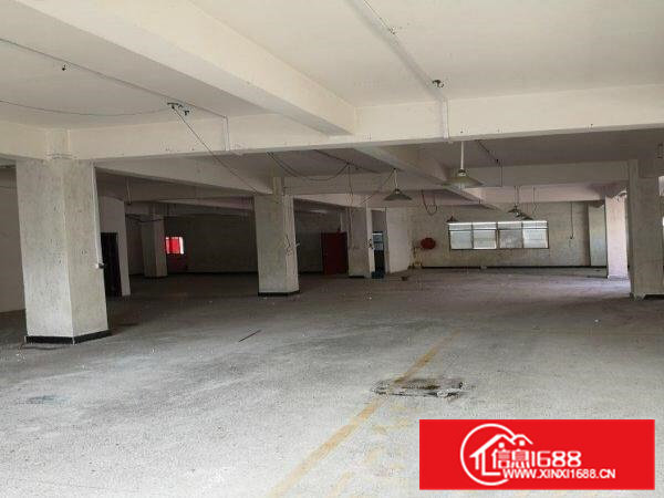 寮步下令贝附近独栋厂房出租