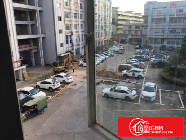 急租转松岗办公研发综合厂房