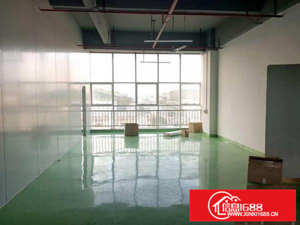 有流水线台地坪漆凤岗雁田楼上带装修厂房出租700平