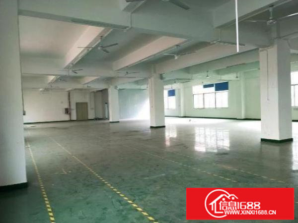 大浪深圳市龙华区大浪罗屋围厂房1300平米