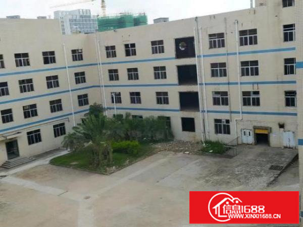 坪山大工业区，50000平方，可做学校，空地大