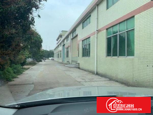 常平新出单一层1400平方，中间没网柱，可办环评