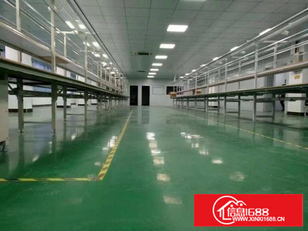 原房东实际面积无公摊，可办环评易招工，形象好现成办公室装修