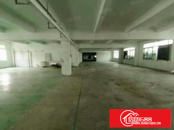 看图！林村工业区私人房东小独院出租，空地大，面积实在