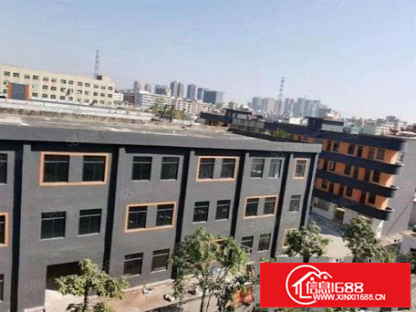 原房东，3615平龙岗横岗独门独院厂房出租标准仓库