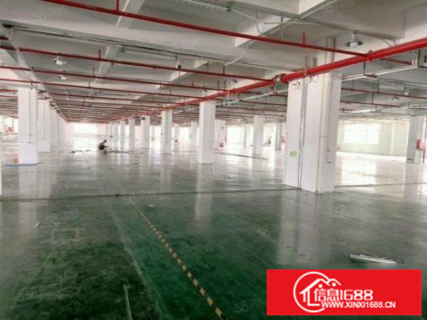 观澜大道边原房东独门独院，一楼层高6米空地一万可分租