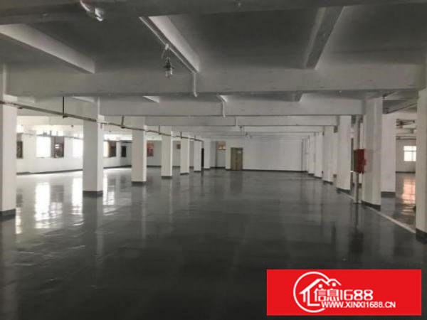 横岗大康新装修厂房一楼3000平，可分租