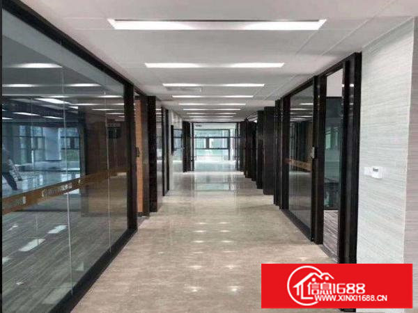 高新区独门独院三层厂房500平方带红本招租