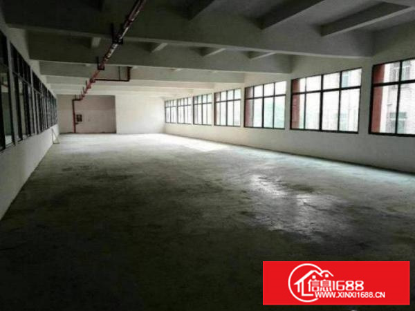 出租龙岗区坪地教育北路中心新出独门独院200平起分租