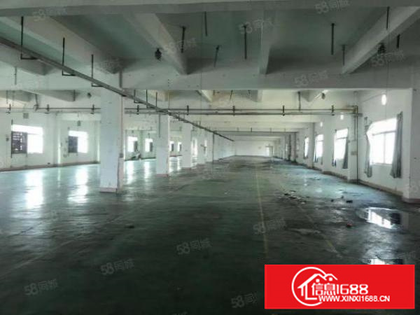 石碣经典小独特2080招租，物美价廉！!