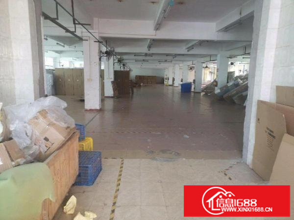 四联新空出独门独院厂房大小可分租100平起！