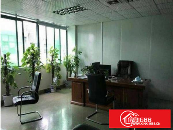 常平卢屋一楼950平厂房出租带现成装修办公室