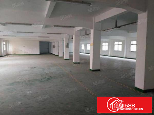 东莞茶山新出标准厂房分租二楼1320平方出租