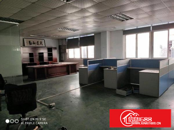 塘厦东深二线新出楼上1700平，带现成地板漆豪华办公室