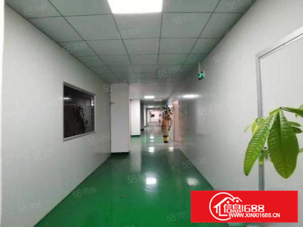 塘厦龙背岭出租千级无尘车间厂房，现成精装修电子口罩拎包生产
