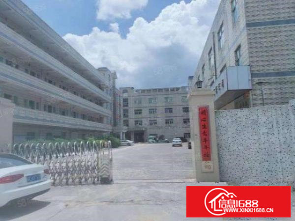 桥头村新出原房东独门独院8200平方实际面积新出