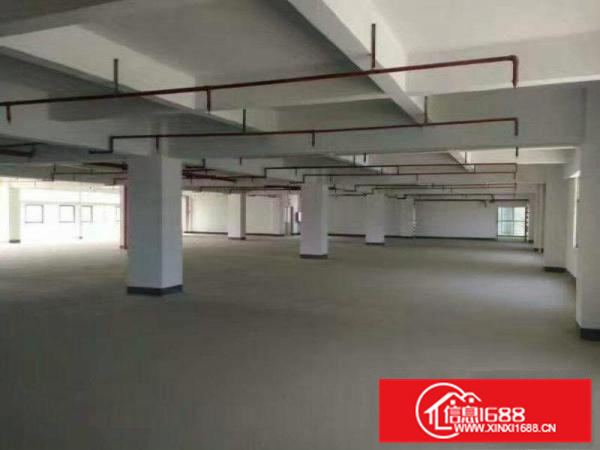 仲恺沥林独院标准厂房共4500平方电160kva