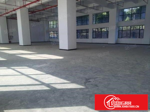 东坑松源全新标准厂房层高7.5米水电到位可分租空地大停车位充